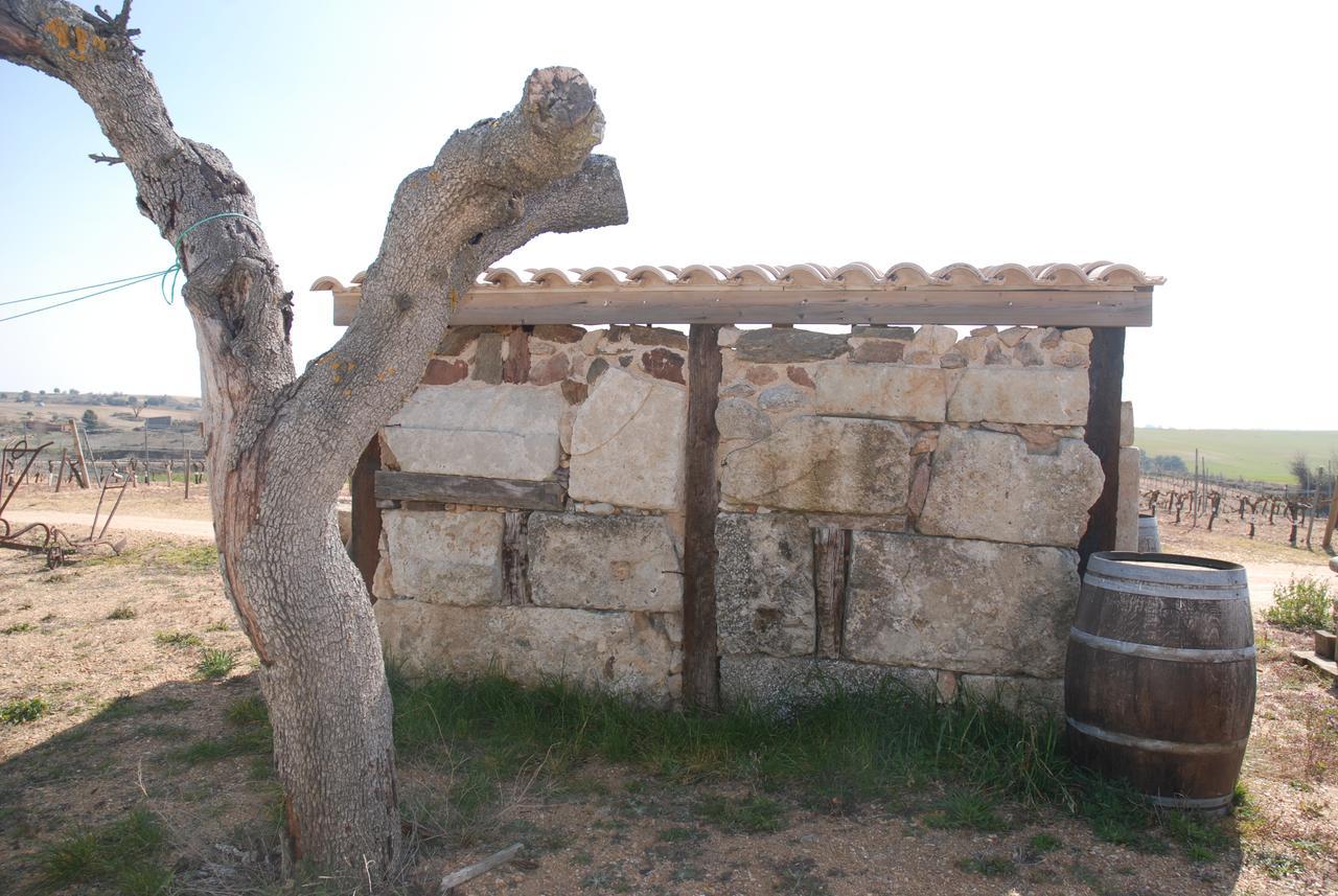 Casa Rural Teso De La Encina Villamor de los Escuderos Exterior photo